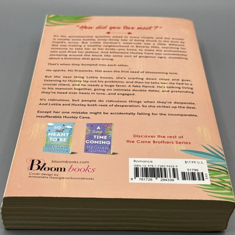 A Not So Meet‎ Cute (Cane Brothers, 1) - Paperback By Quinn, Meghan